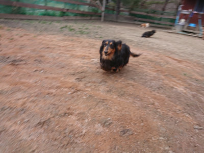 f:id:roukenhome-ann:20190224074526j:plain