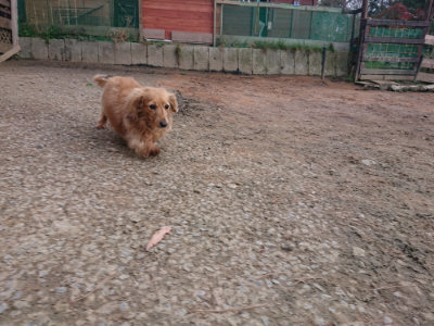 f:id:roukenhome-ann:20190224074538j:plain