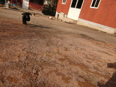 f:id:roukenhome-ann:20190224074550j:plain