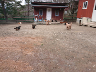 f:id:roukenhome-ann:20190224074554j:plain