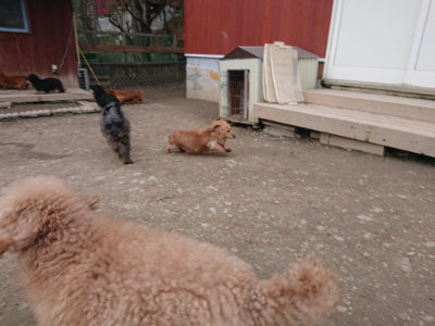 f:id:roukenhome-ann:20190224074600j:plain