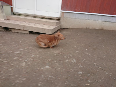 f:id:roukenhome-ann:20190224074605j:plain