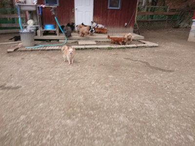f:id:roukenhome-ann:20190224074628j:plain