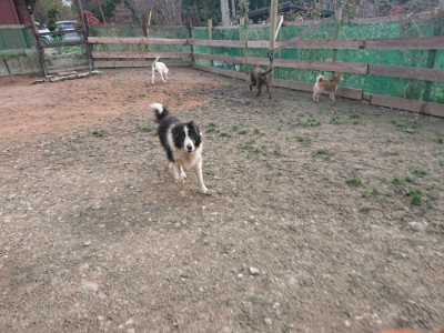 f:id:roukenhome-ann:20190224074633j:plain
