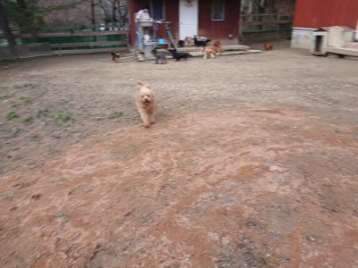 f:id:roukenhome-ann:20190224074652j:plain