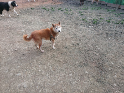 f:id:roukenhome-ann:20190224074704j:plain