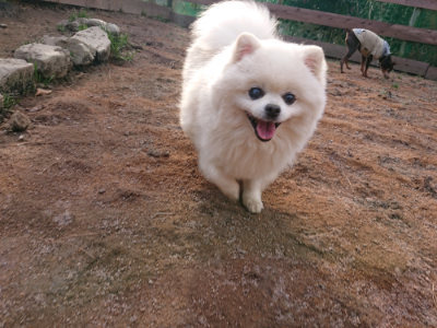 f:id:roukenhome-ann:20190224074711j:plain