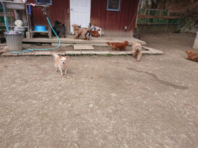 f:id:roukenhome-ann:20190224074716j:plain
