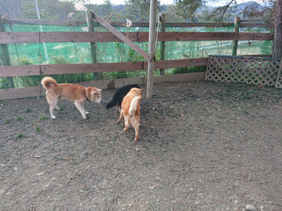 f:id:roukenhome-ann:20190224074722j:plain