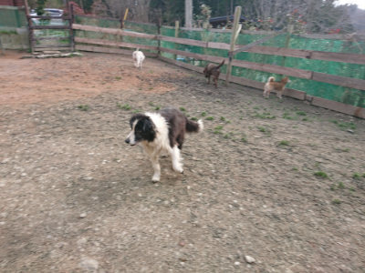 f:id:roukenhome-ann:20190224074729j:plain