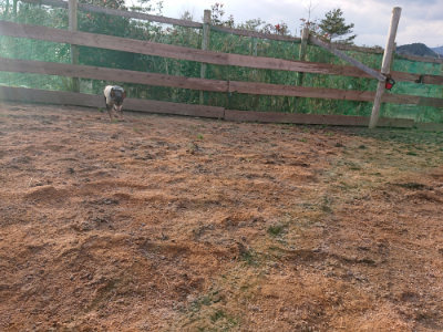 f:id:roukenhome-ann:20190224074736j:plain
