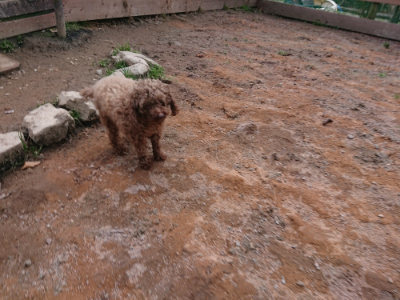 f:id:roukenhome-ann:20190224074749j:plain