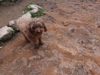 f:id:roukenhome-ann:20190224074757j:plain