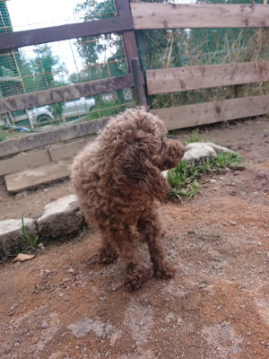 f:id:roukenhome-ann:20190224074822j:plain