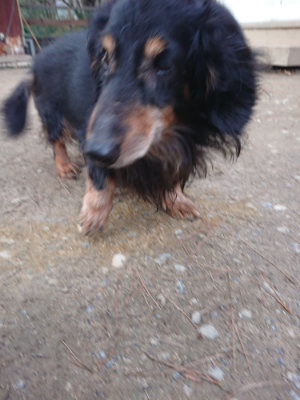 f:id:roukenhome-ann:20190224074852j:plain