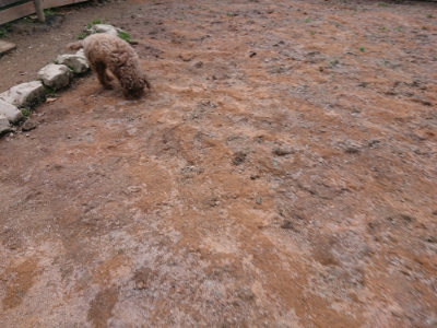 f:id:roukenhome-ann:20190224074903j:plain