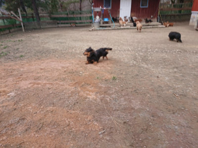 f:id:roukenhome-ann:20190224075100j:plain