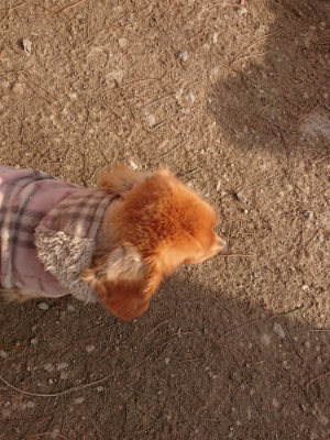 f:id:roukenhome-ann:20190224075118j:plain