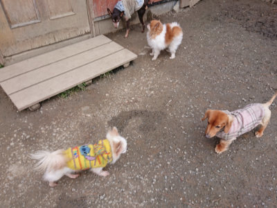 f:id:roukenhome-ann:20190224075124j:plain