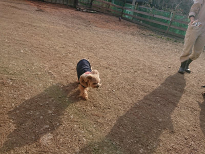f:id:roukenhome-ann:20190224075143j:plain