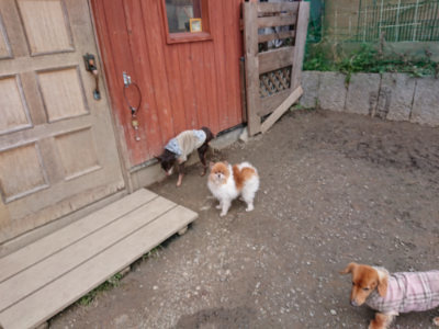 f:id:roukenhome-ann:20190224075147j:plain