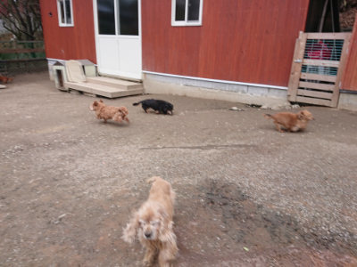 f:id:roukenhome-ann:20190224075152j:plain