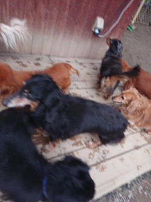 f:id:roukenhome-ann:20190224075157j:plain