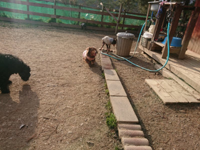 f:id:roukenhome-ann:20190224075210j:plain