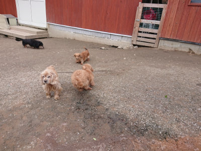 f:id:roukenhome-ann:20190224075222j:plain