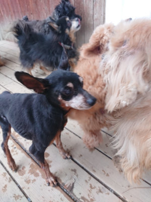 f:id:roukenhome-ann:20190224075227j:plain