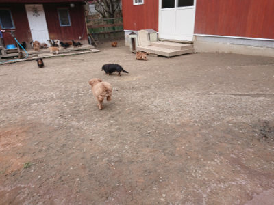 f:id:roukenhome-ann:20190224075238j:plain