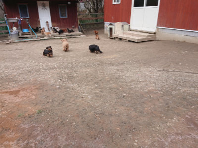 f:id:roukenhome-ann:20190224075243j:plain