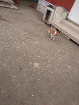 f:id:roukenhome-ann:20190224075253j:plain
