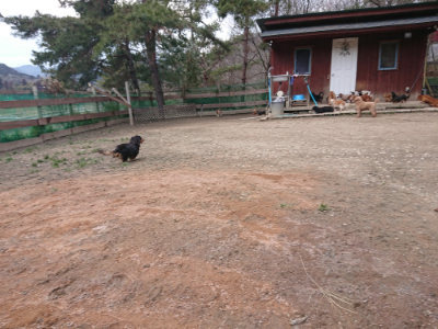 f:id:roukenhome-ann:20190224075310j:plain