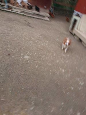 f:id:roukenhome-ann:20190224075316j:plain
