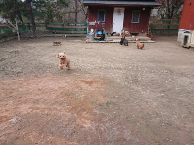 f:id:roukenhome-ann:20190224075335j:plain