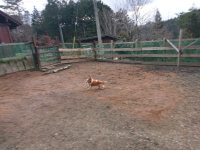f:id:roukenhome-ann:20190224075653j:plain