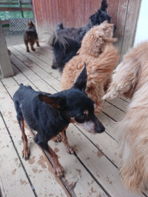f:id:roukenhome-ann:20190224075704j:plain