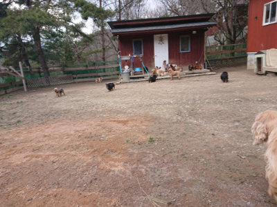 f:id:roukenhome-ann:20190224075800j:plain