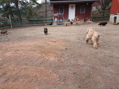 f:id:roukenhome-ann:20190224075805j:plain