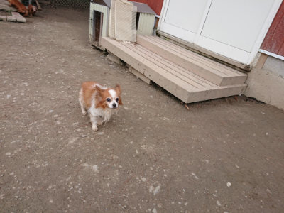 f:id:roukenhome-ann:20190224075818j:plain