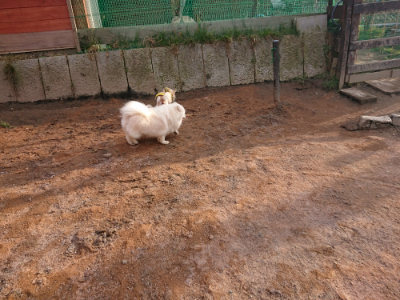 f:id:roukenhome-ann:20190224075835j:plain