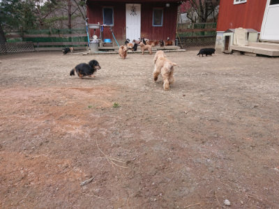 f:id:roukenhome-ann:20190224075842j:plain