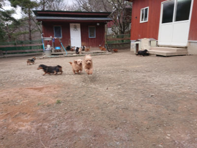 f:id:roukenhome-ann:20190224075853j:plain