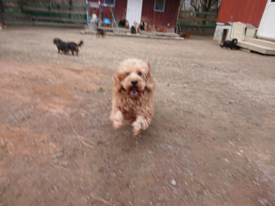 f:id:roukenhome-ann:20190224075859j:plain
