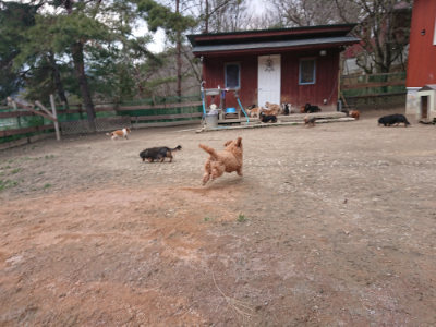 f:id:roukenhome-ann:20190224075926j:plain