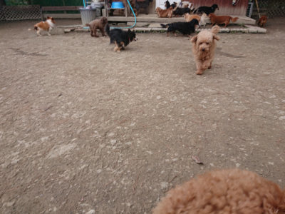 f:id:roukenhome-ann:20190224075930j:plain