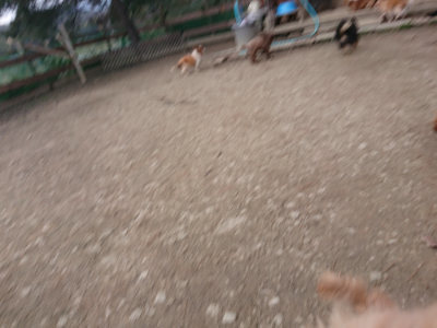 f:id:roukenhome-ann:20190224075935j:plain