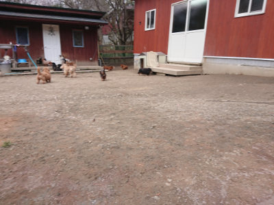 f:id:roukenhome-ann:20190224075953j:plain