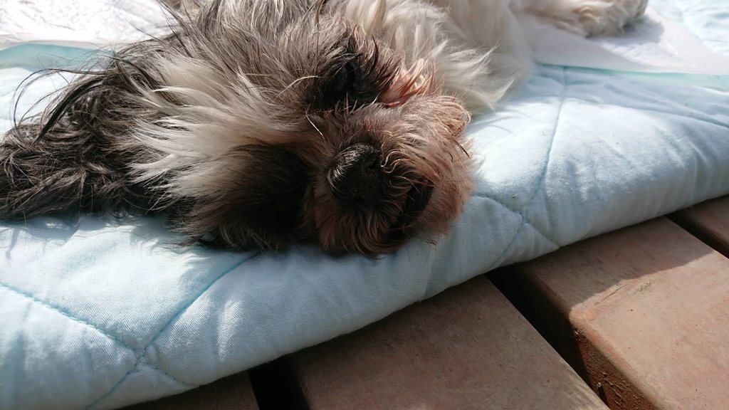 f:id:roukenhome-ann:20190224201932j:plain
